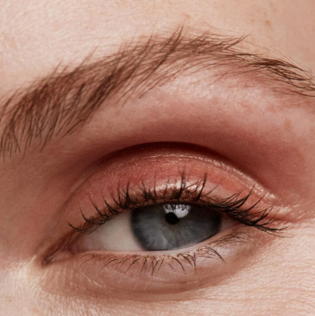 makeup wild-swams.com
