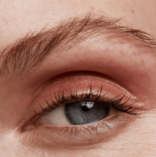 Make Up Kjaer Weis Eyeshadow