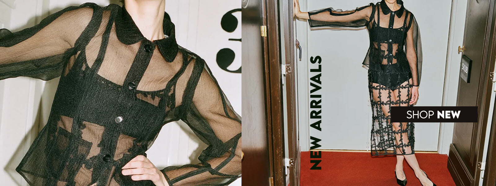 new arrivals - wild-swans.com