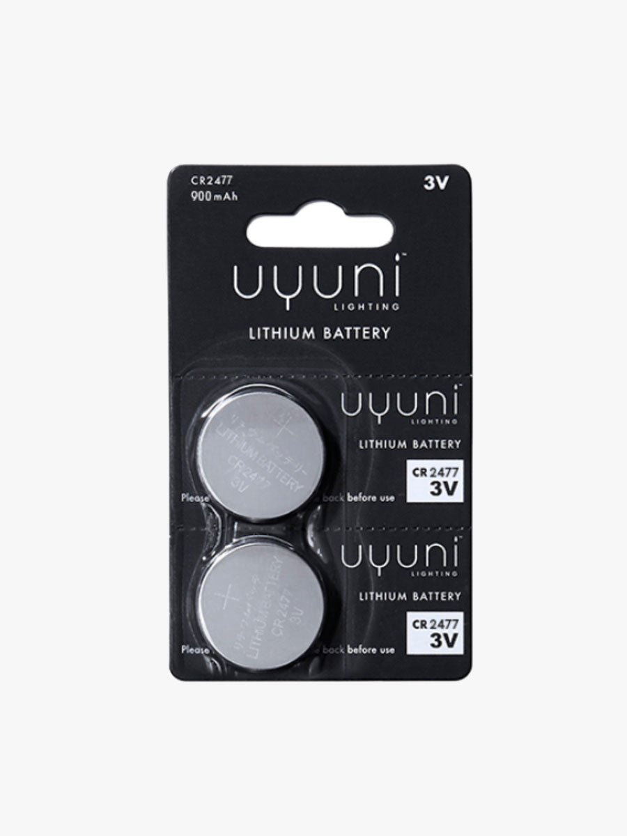 Uyuni Lithium Battery 2 Pack