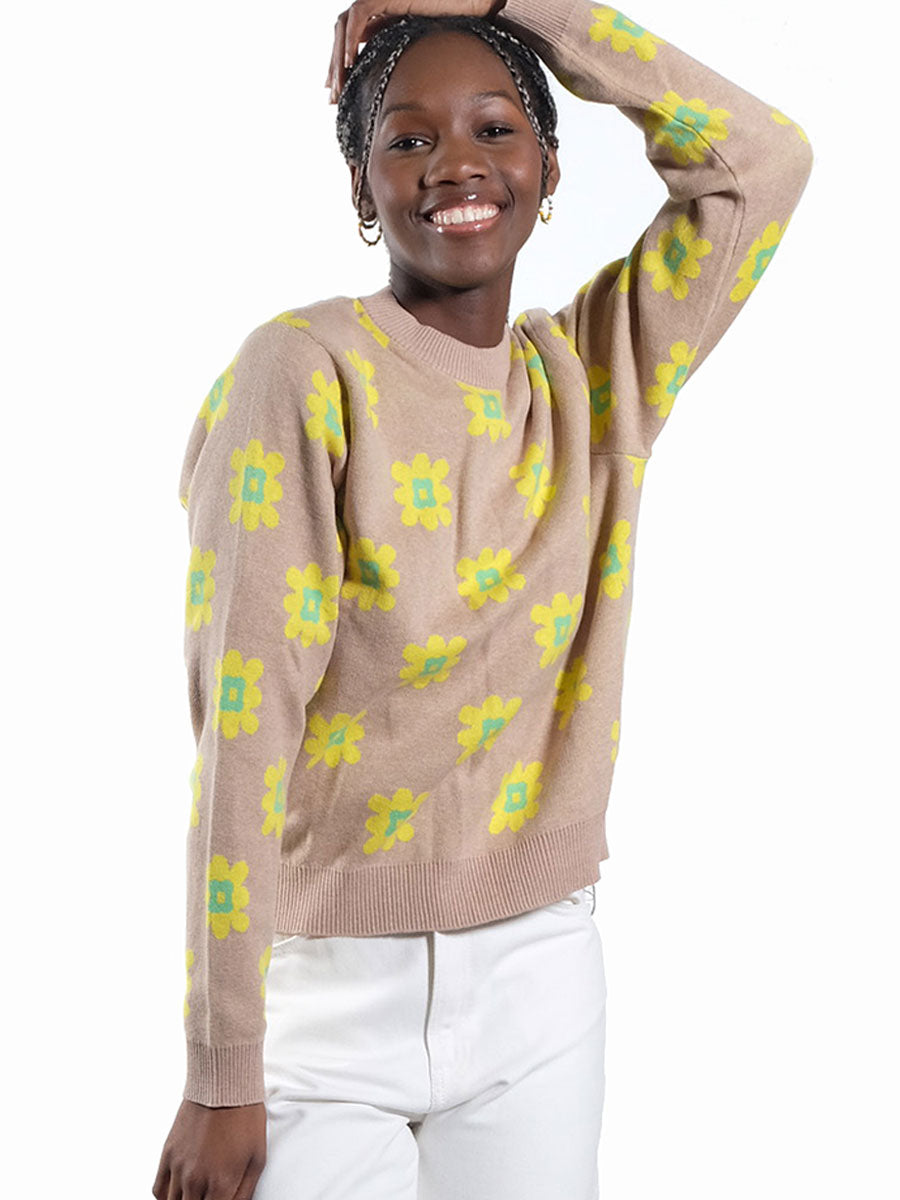 Resume-Lucky-Jumper