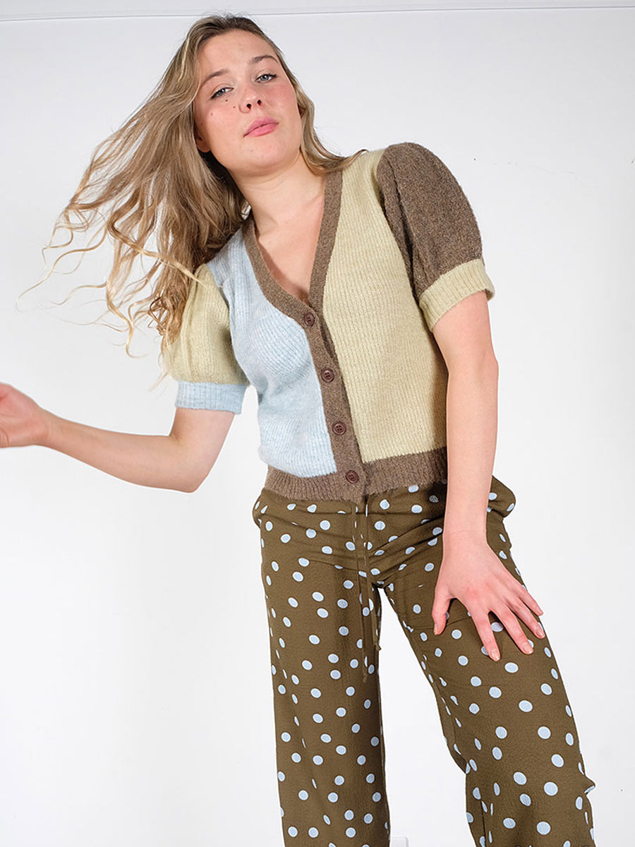 Resume-Lykke-Cardigan-wild-swans.com