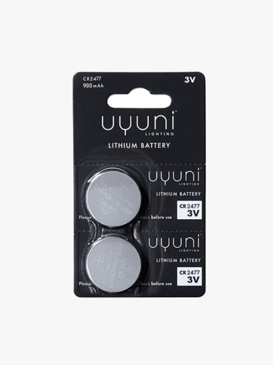 Uyuni Lithium Battery 2 Pack
